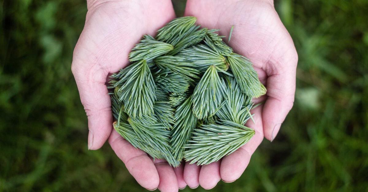 Document shredding real estate New York - compliance guide for NYC firms