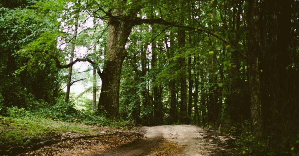 Documents never throw in trash - shred sensitive papers for identity protection