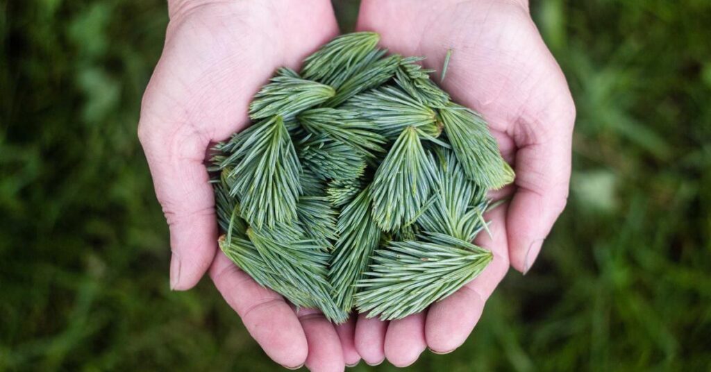 on-site shredding vs off-site shredding comparison