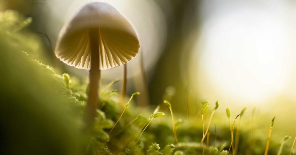 paper recycling vs shredding documents security