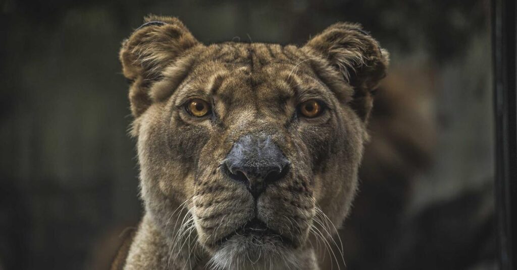 Paper shredding in the Bronx NY - certified document destruction for businesses