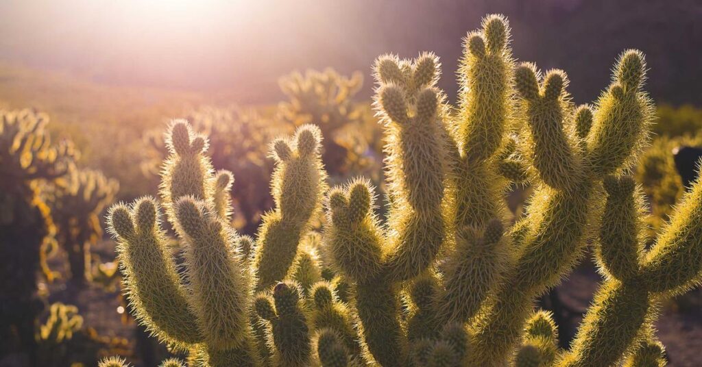 Paper shredding on Long Island - Nassau and Suffolk County certified document destruction