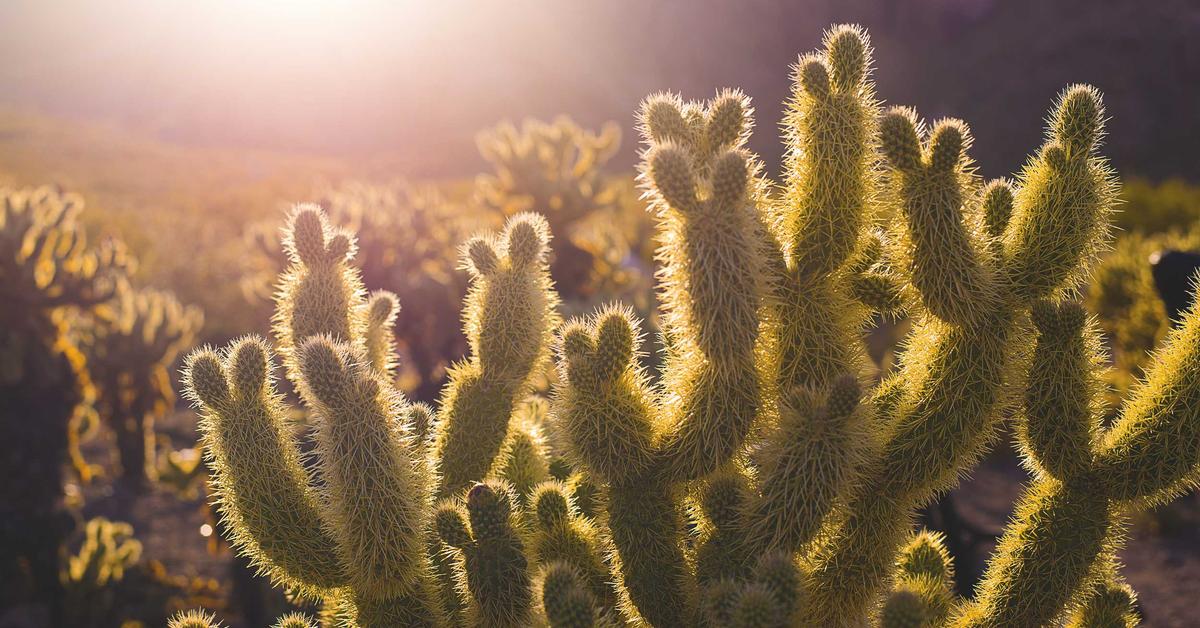 Paper shredding on Long Island - Nassau and Suffolk County certified document destruction
