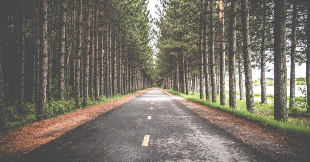 Business closure document shredding - properly disposing of records when closing a company