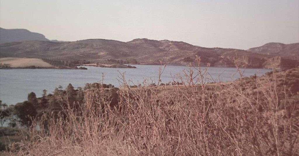 startup document shredding New York data security