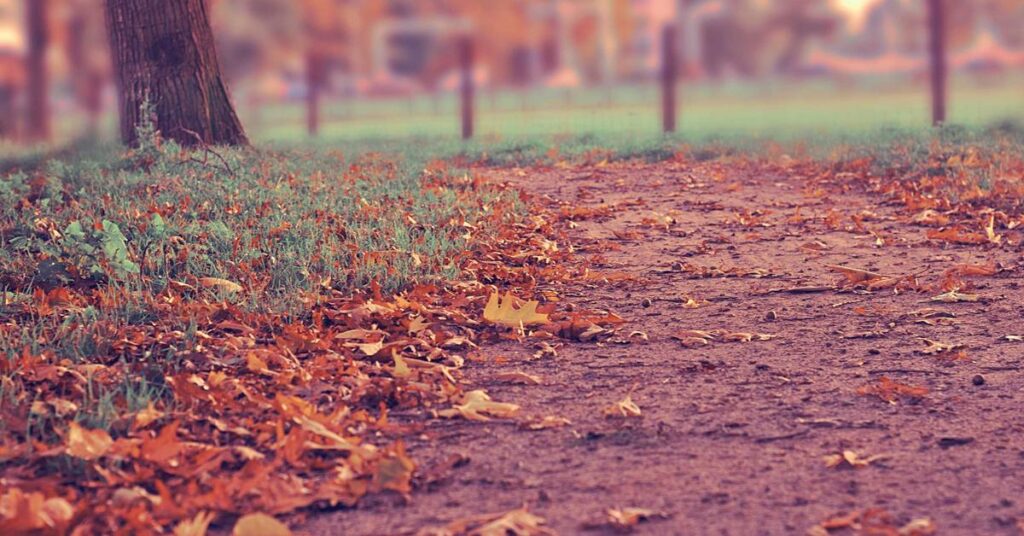 document shredding services Staten Island NY businesses residents