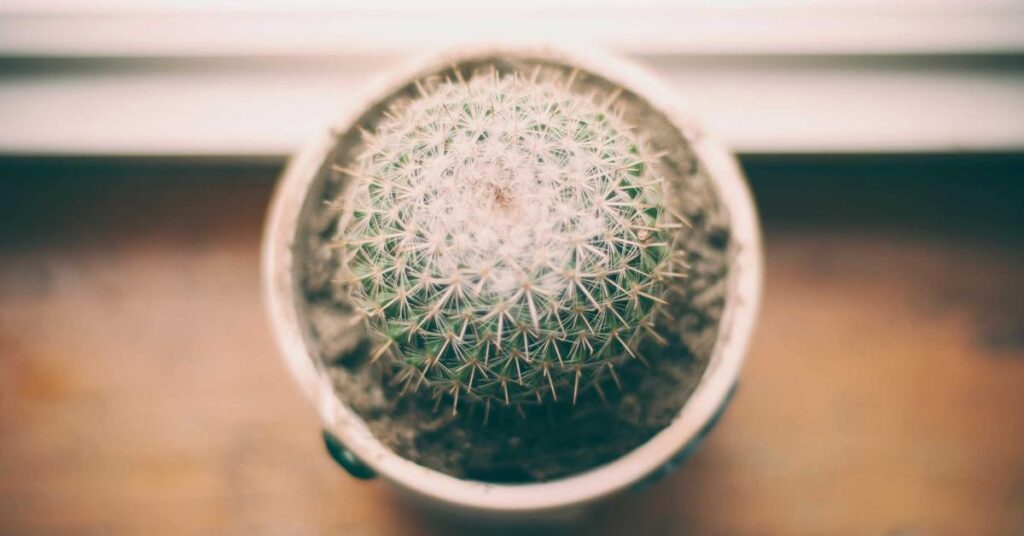 document shredding Westchester County NY