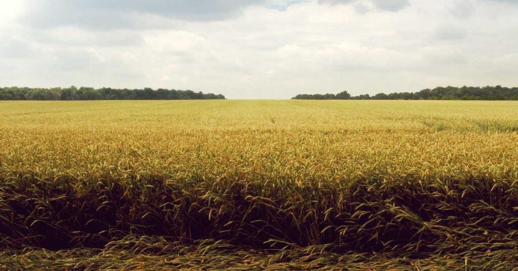 Important documents to shred for identity theft prevention