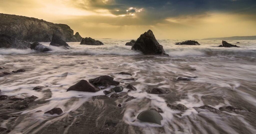 can thieves reconstruct shredded documents security risk