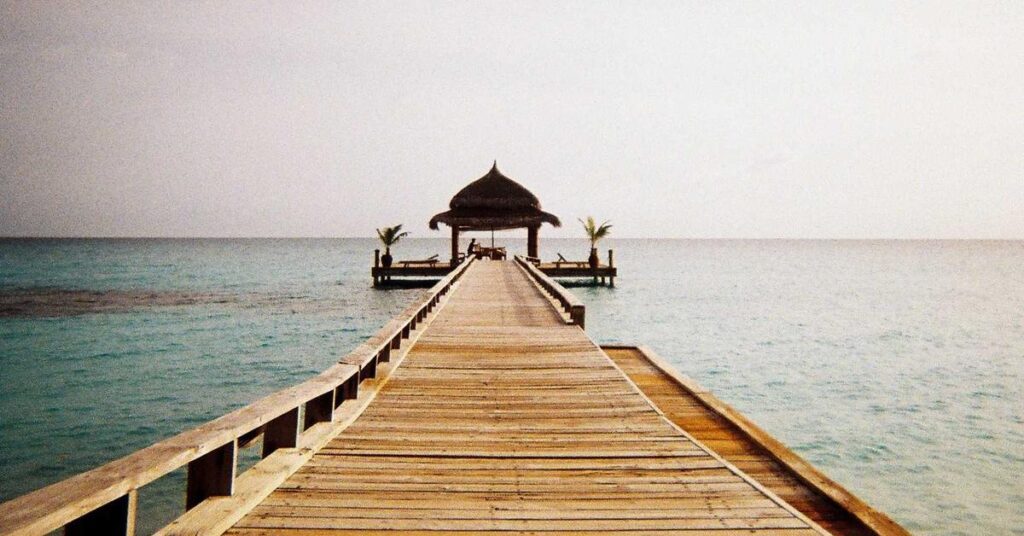 New York business comparing scheduled shredding service versus one-time document purge options