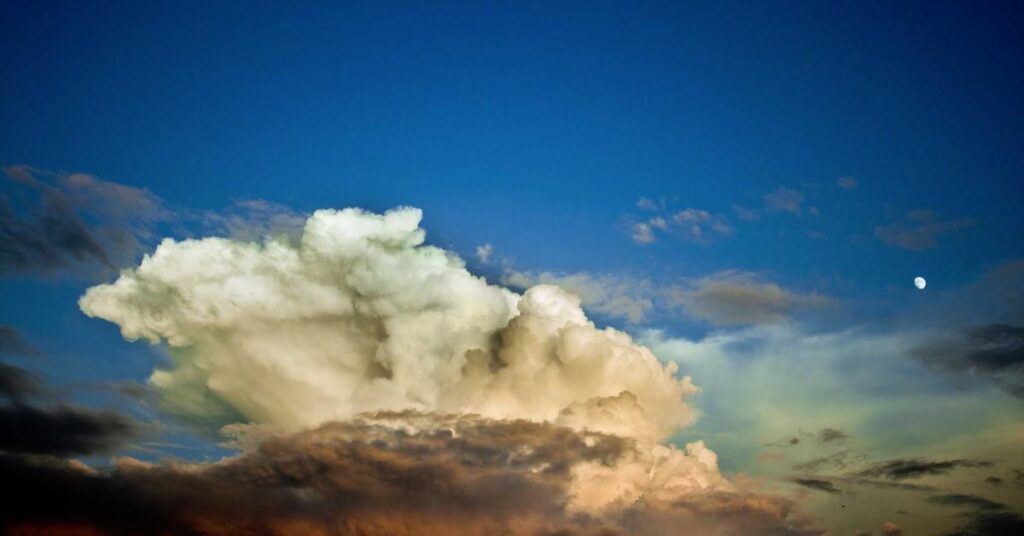 Insurance company document shredding New York compliance