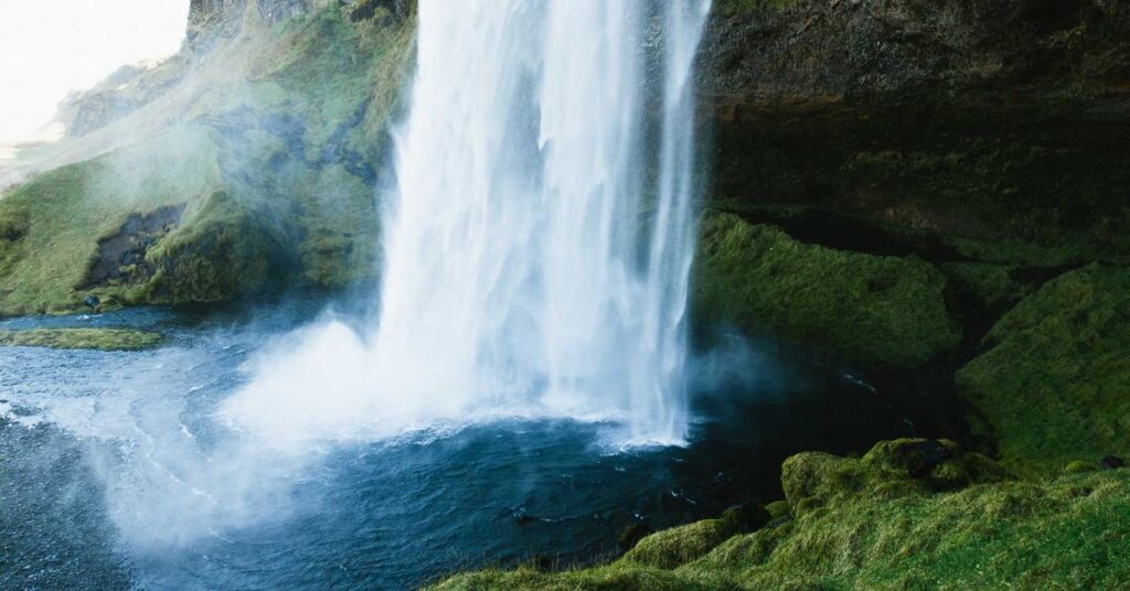 Shredding junk mail and pre-approved credit card offers to prevent identity theft