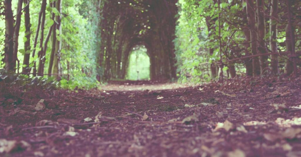 non-profit document shredding New York