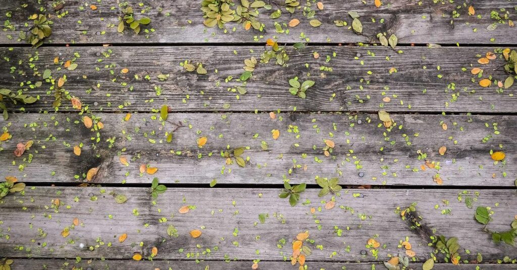 Overflowing filing cabinets and papers piling up - signs your office document purge New York is overdue