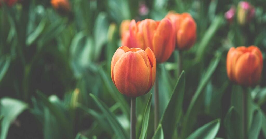 office spring cleaning document shredding checklist New York