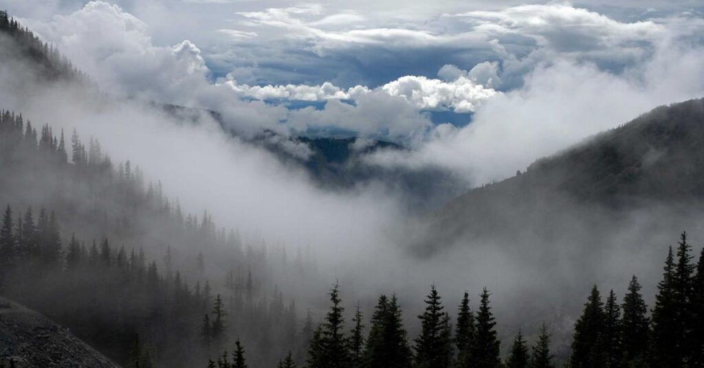 Secure industrial document shredding - chain of custody shredding process