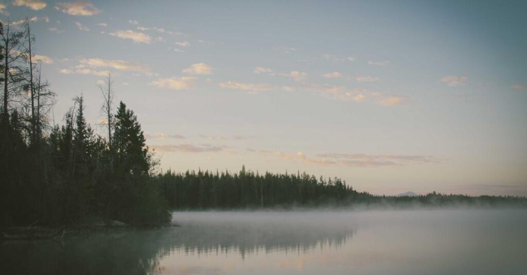 Industrial shredding equipment performing secure document destruction for New York businesses