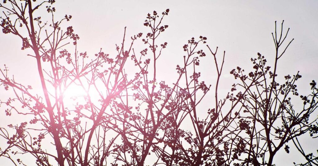 why you should never throw receipts in the trash identity theft risk