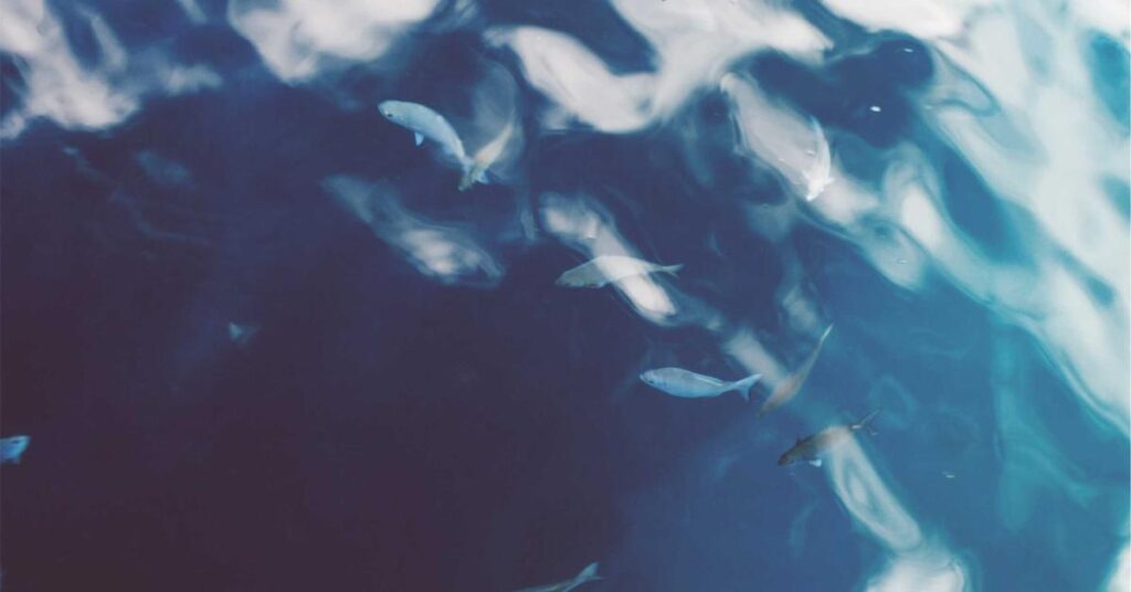 certificate of destruction document shredding compliance