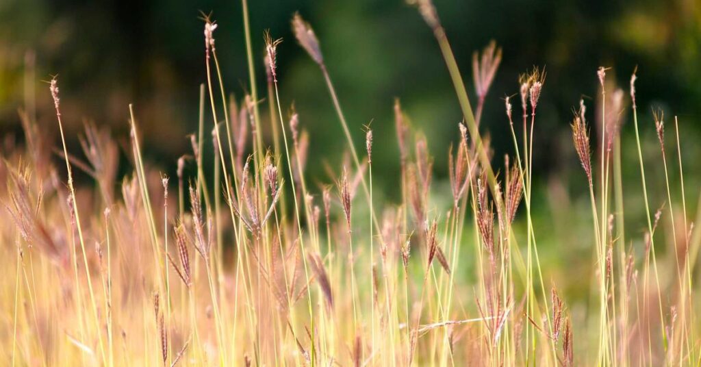 employee shredding policy onboarding training