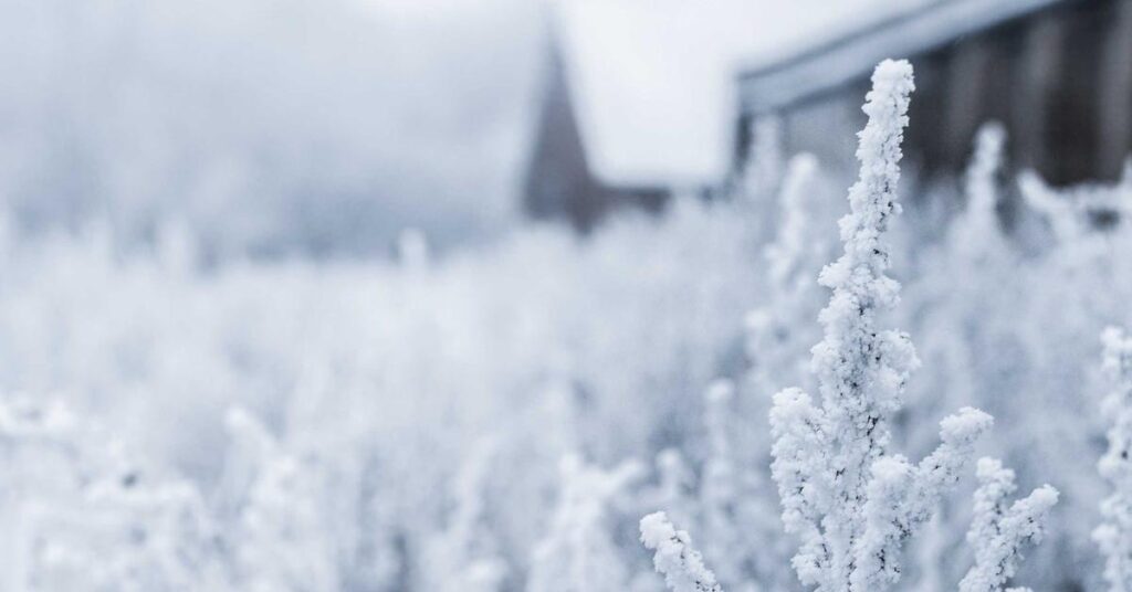 Green document shredding recycling sustainability eco-friendly paper destruction