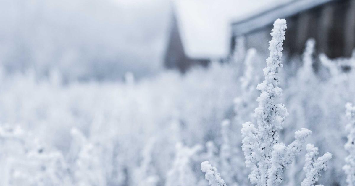 Green document shredding recycling sustainability eco-friendly paper destruction