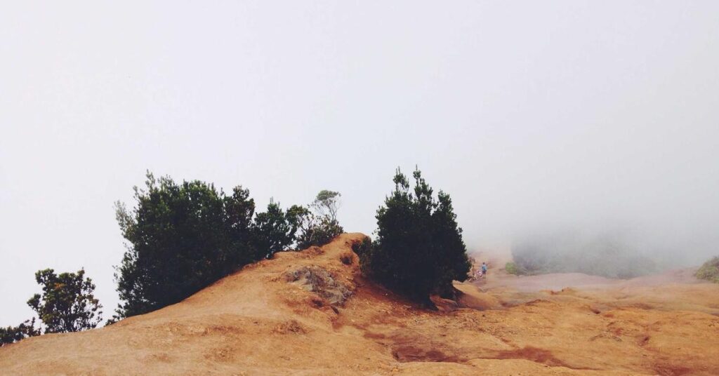 Hard drive destruction vs wiping security comparison for businesses