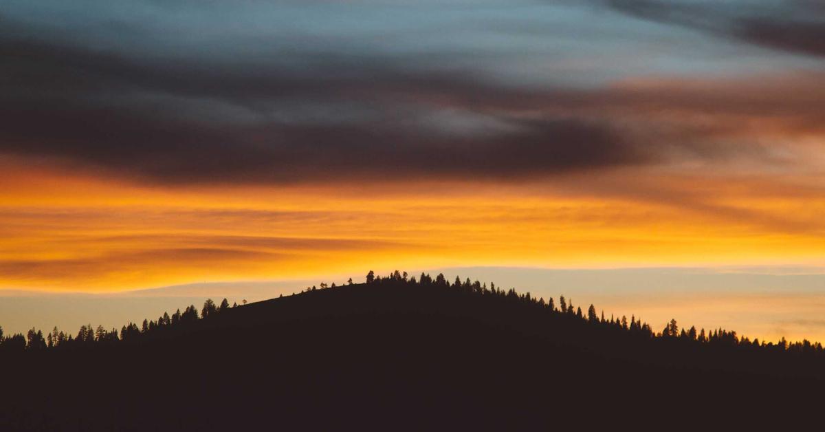 Certificate of destruction shredding document compliance