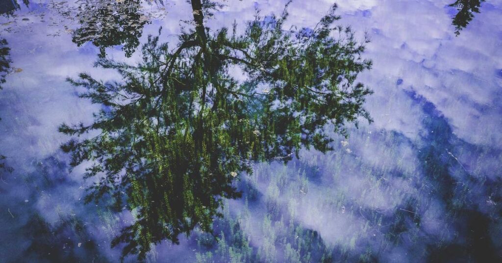 Corporate meeting minutes retention shredding - secure document disposal for New York businesses