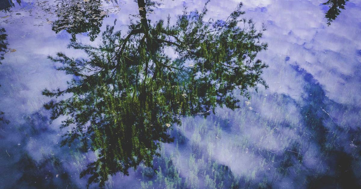 Corporate meeting minutes retention shredding - secure document disposal for New York businesses