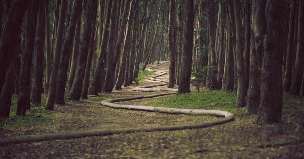 Electronic waste hard drive destruction New York certified disposal