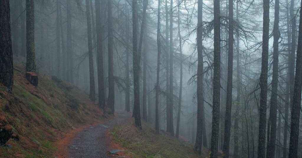 Government document shredding secure records New York