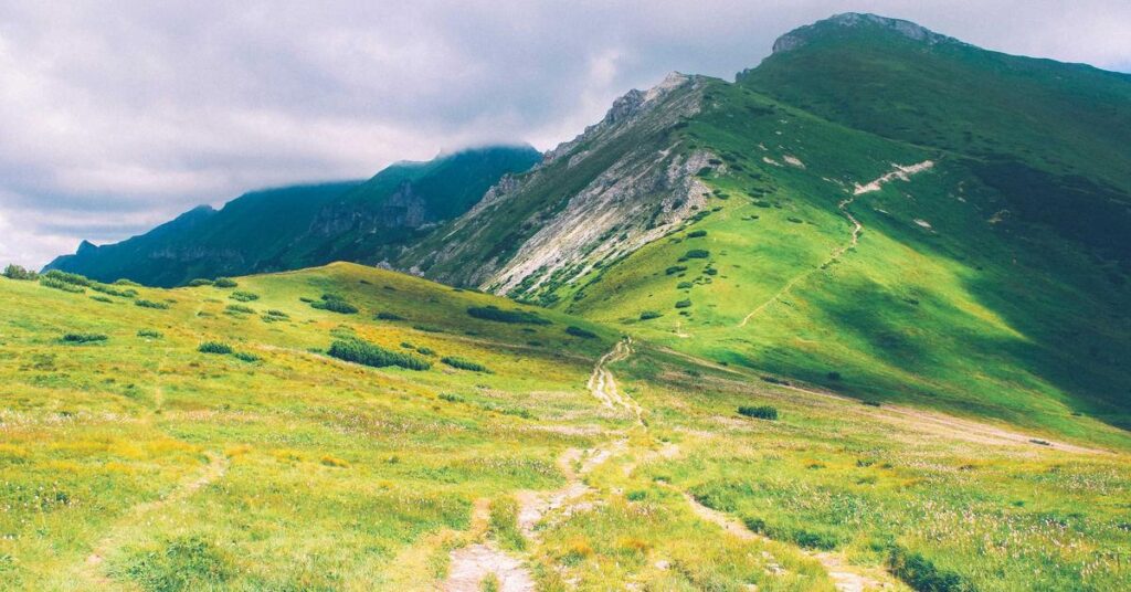 Government contractor documents requiring secure shredding for federal compliance