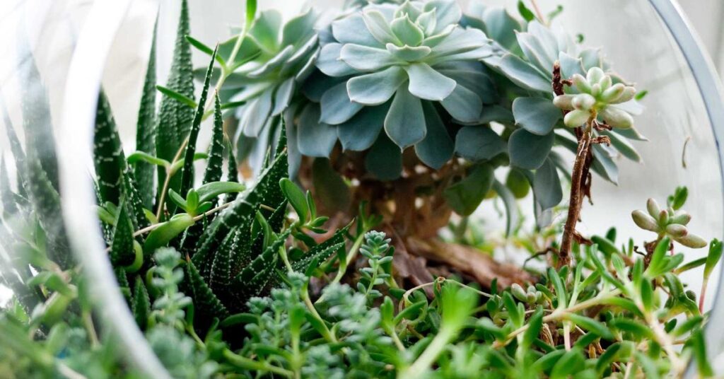 Nonprofit organization documents requiring secure shredding for donor and compliance records