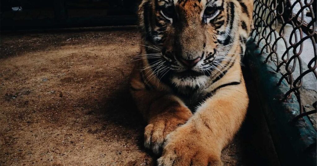 Franchise business document shredding multi-location New York security