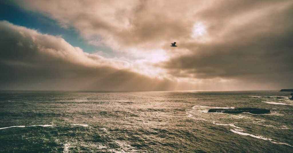 Protecting children from identity theft by shredding documents with their personal information