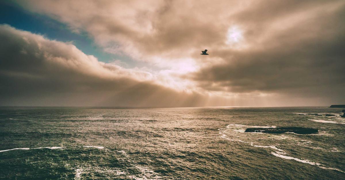 Protecting children from identity theft by shredding documents with their personal information