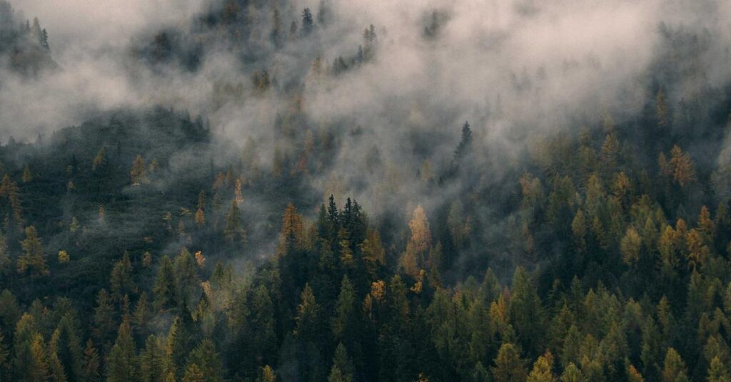 Filing cabinet hidden compliance risks old documents liability