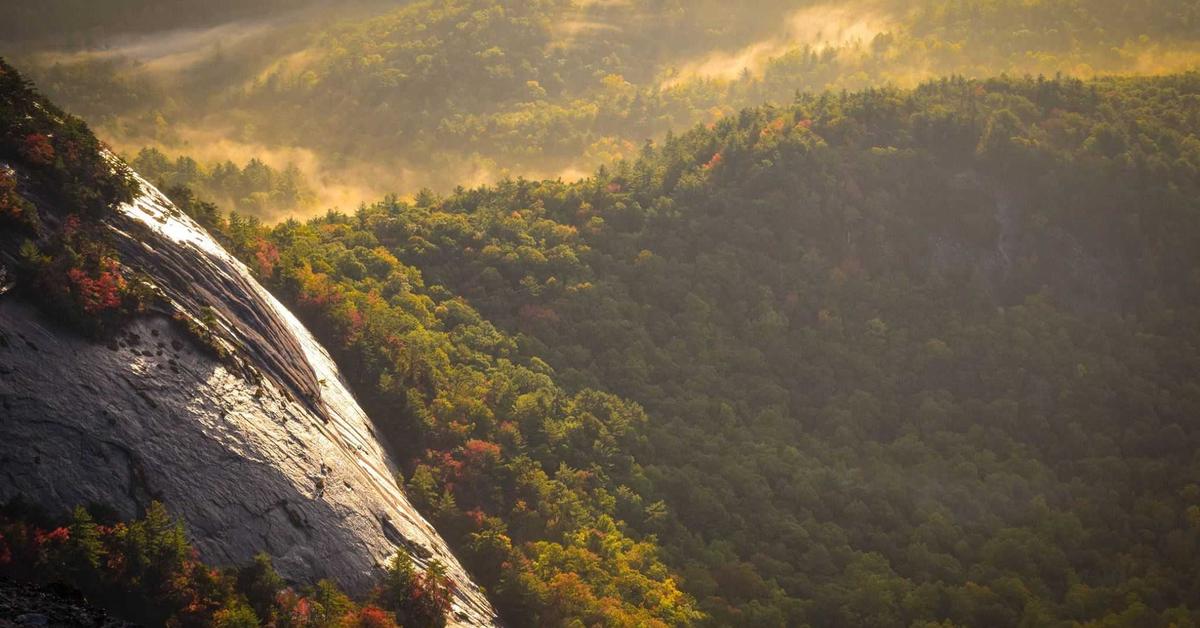 data breach document destruction response plan