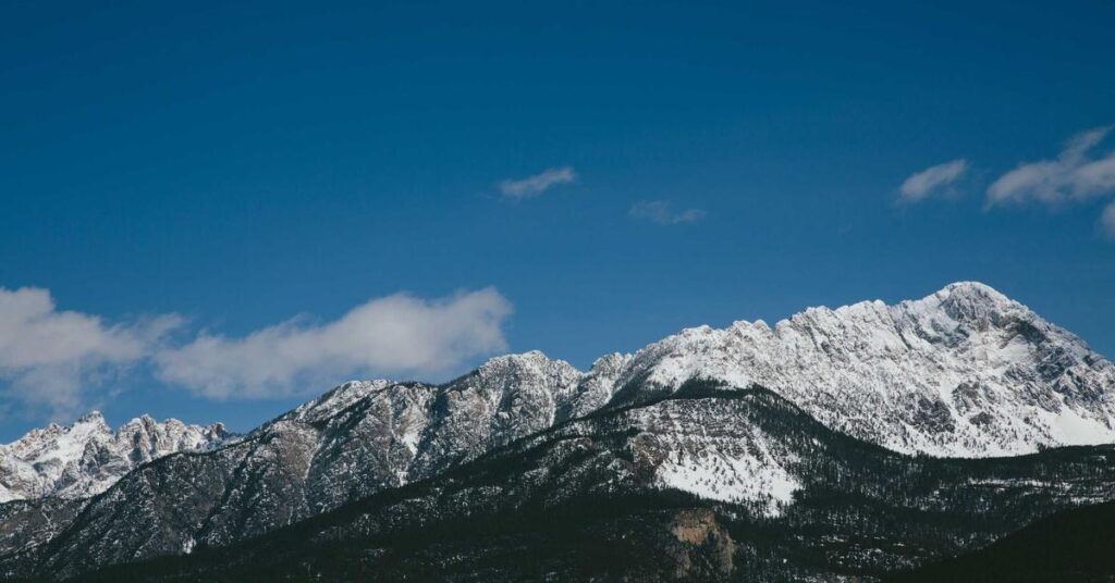 Document shredding Queens NY - professional secure paper disposal in Queens