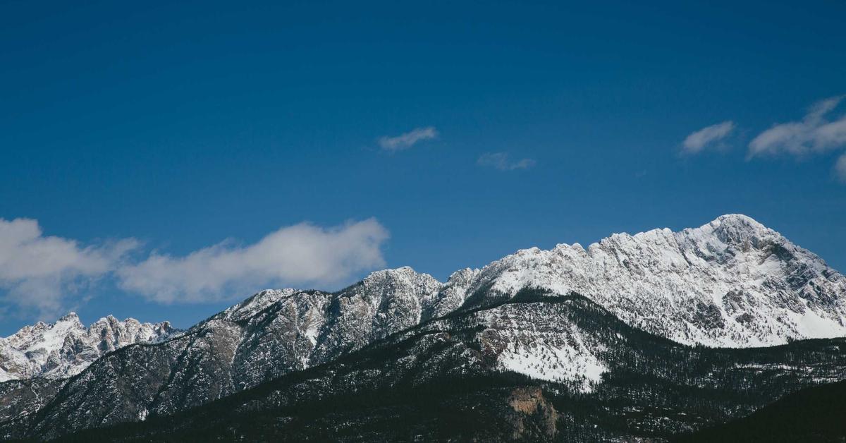 Document shredding Queens NY - professional secure paper disposal in Queens