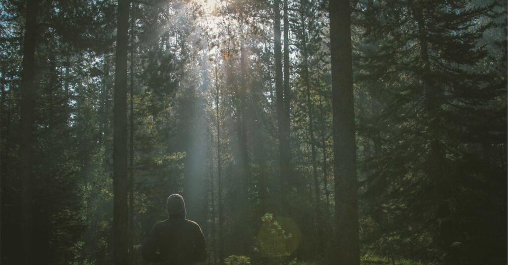 home business shredding services document security