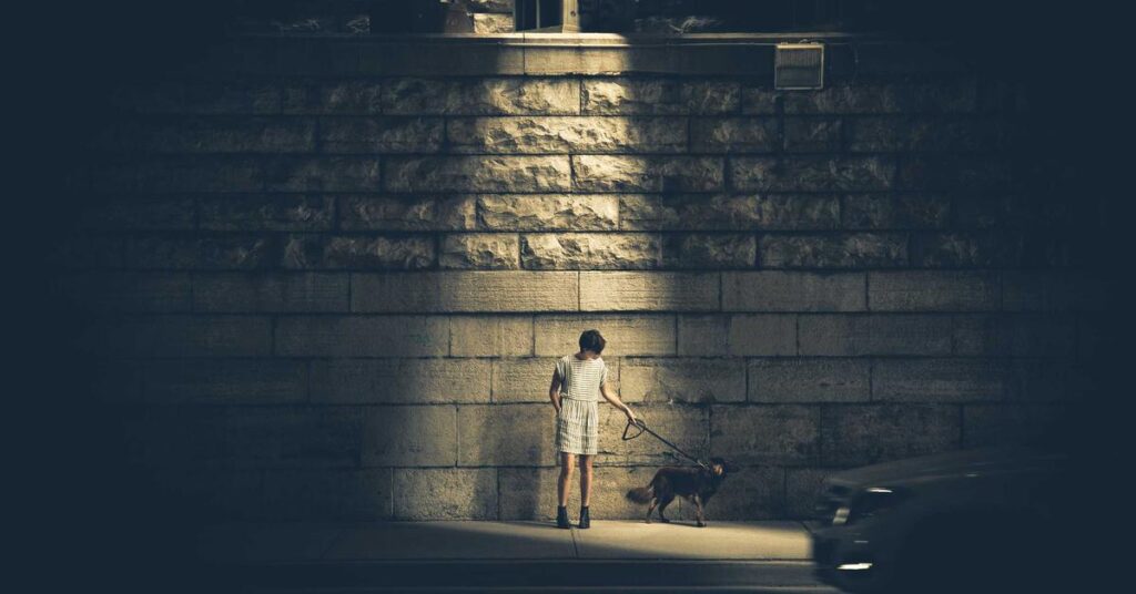 mobile shredding vs plant based shredding comparison