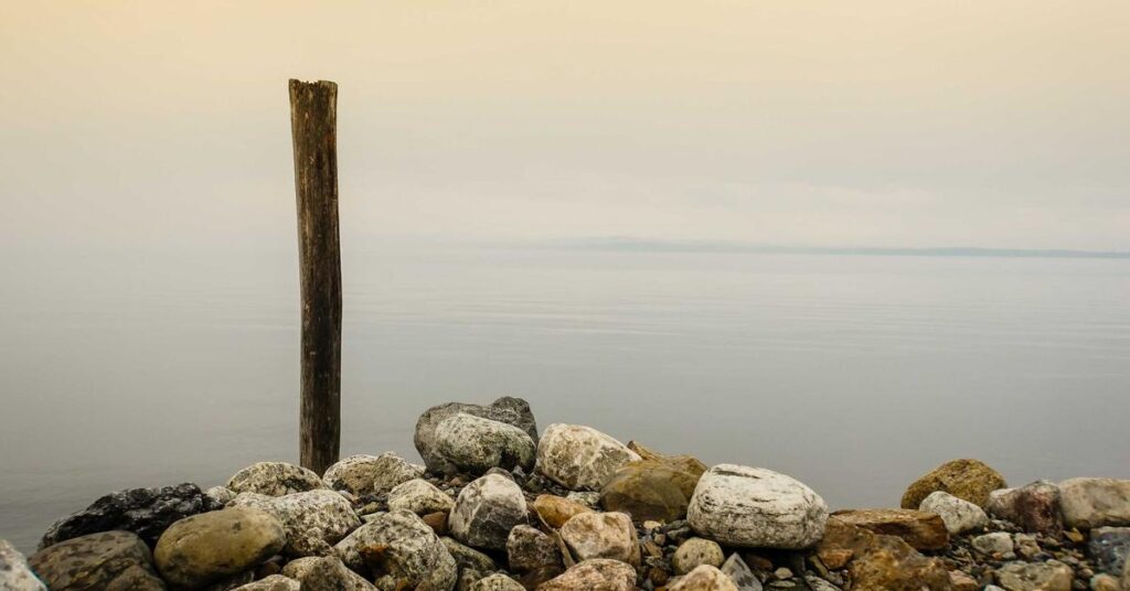 New York state records retention requirements for businesses