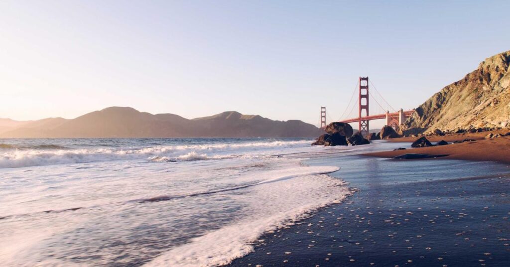 NYC co-op condo board document shredding resident privacy