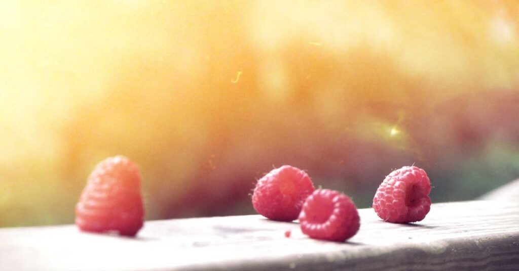 Paperless office transition - paperless office what to shred after going digital