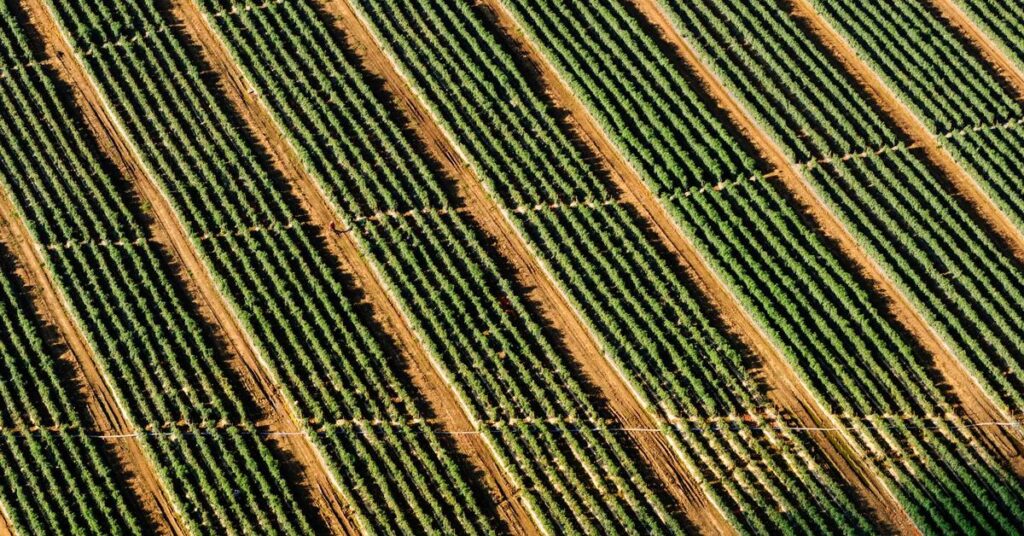 Criminals using discarded documents for identity theft