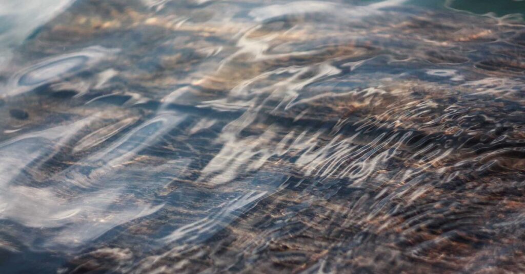 pharmaceutical document shredding FDA compliance