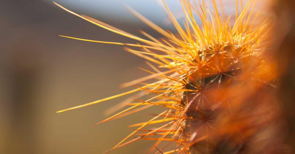 recession-proofing business shredding service essential