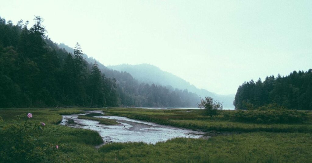 Remote work home office document security and shredding